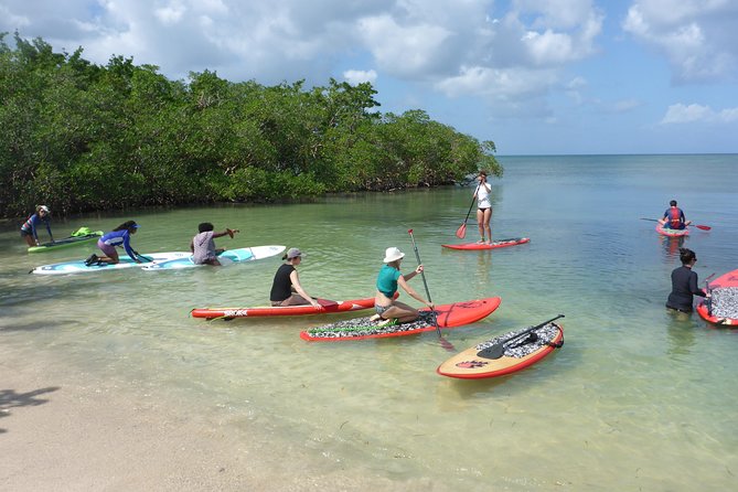 Stand up Paddle in Paradise - Common Questions