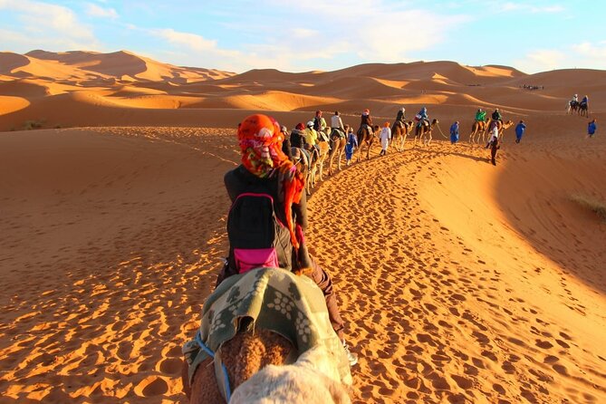 Standard Trip in 1 Night / 2 Days From Fez to Merzouga - Marrakech or Back With Same Transportation - Meeting and Pickup: Location and Contact Information