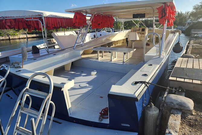 Starfish and Stingray City Fun Tour With Reef Snorkeling- 3 Stops - The Sum Up