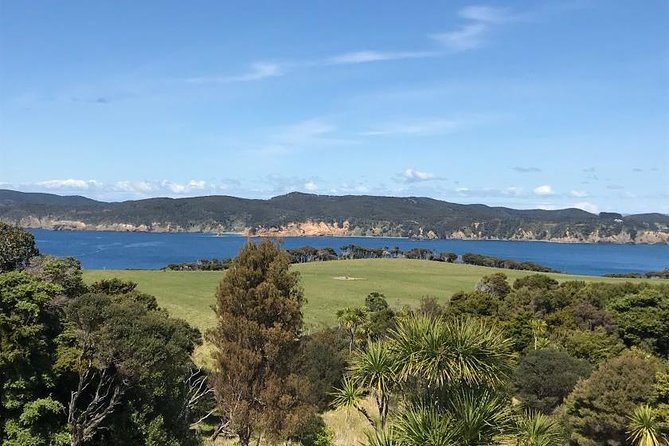 Stunning Auckland East Coast Walk & Wine Private Tour - Scenic East Coast Walk