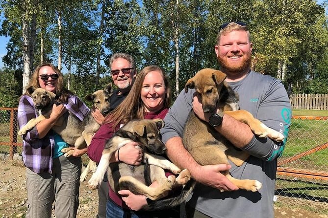 Summer Dog Sledding Adventure in Willow, Alaska - Dog Sledding With Trained Sledders