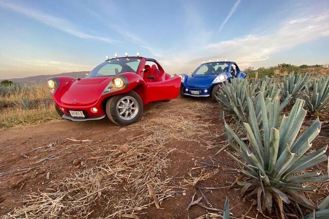 Sun Buggy Tour - Traveler Photos