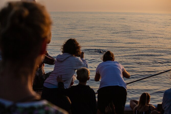 Sunrise Boat Trip in Mallorca With Dolphin-Watching - Cancellation Policy