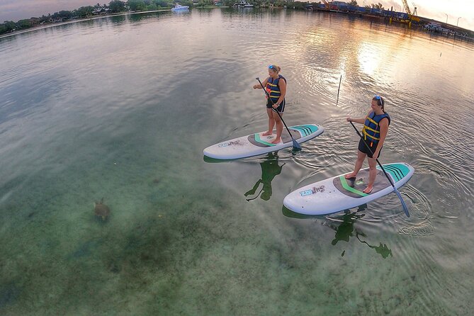 Sunrise Paddle Boarding Adventure in Jupiter - Expectations and Requirements