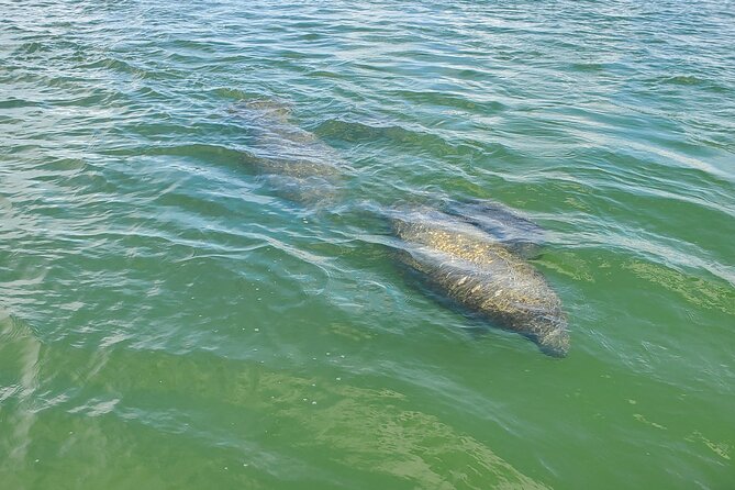 Sunset and Dolphin Tour, Fort Myers Beach and Sanibel Lighthouse - Meeting and Pickup