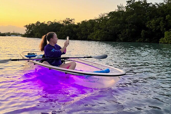 Sunset and Glow Clear Kayak Tour in North Naples - Overview of the Tour