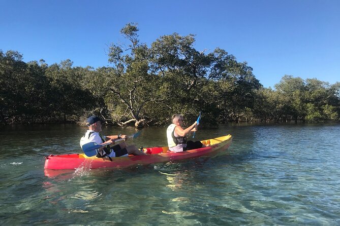 Sunset Brunswick River Nature Kayak Tour - Highlights
