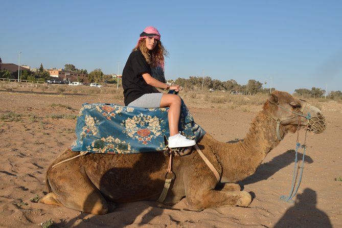 Sunset Camel Ride in Agadir With Transport, Tea and Cakes. - Spotting Flamingos and Other Migratory Birds