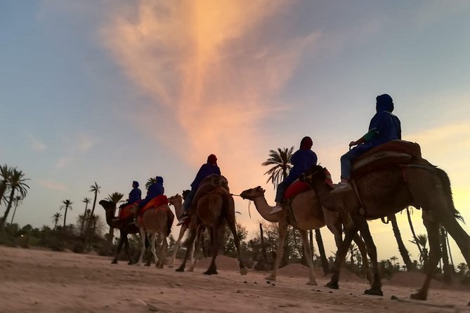 Sunset Camel Ride in the Palm Grove Of Marrakech - Additional Information About the Tour
