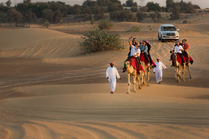 Sunset Camel Trekking Safari With Falcon Show and VIP BBQ Dinner - VIP BBQ Dinner Experience