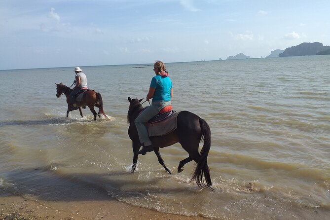 Sunset Horse Riding And BBQ Dinner Tour At Ao Nam Mao Beach Krabi - Additional Tour Information