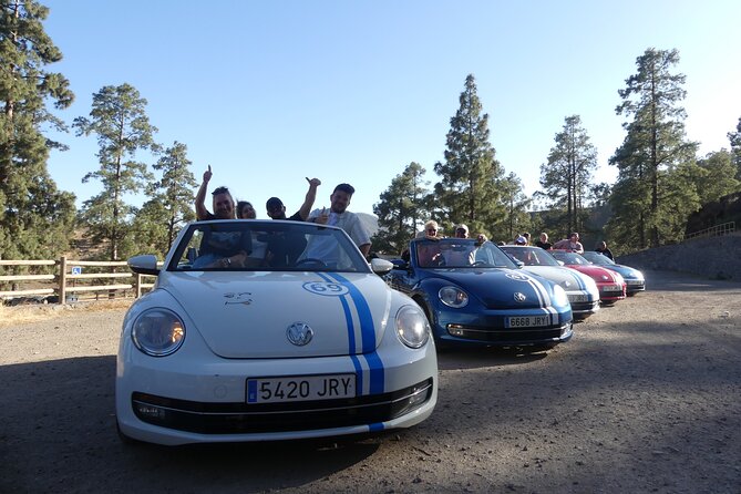 Sunset Tour in Beetle Convertible West Coast - Traveler Photos and Reviews