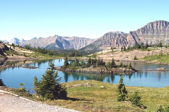 Sunshine Meadows Vistas - Guided Hike (Easy) - Cancellation Policy