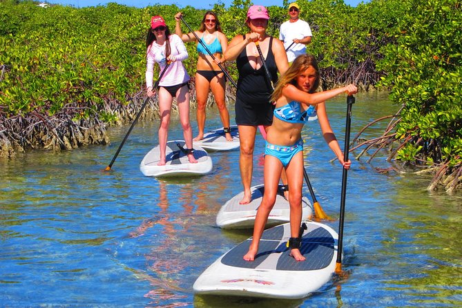 SUP Paddleboard Lesson and Tour - Port Canaveral & Cocoa Beach - Cancellation Policy and Reviews