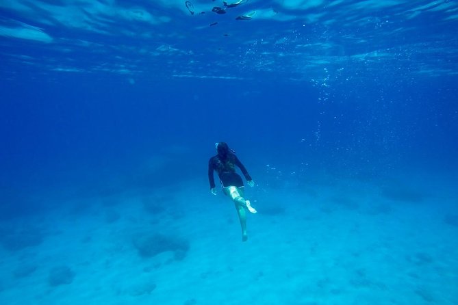 SUP & Snorkel Adventure Rhodes - Pickup and Transportation