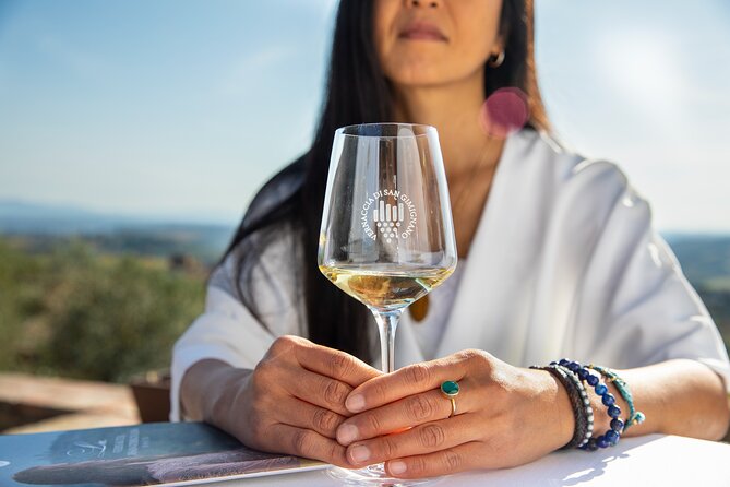 Superior Wine Tasting in San Gimignano - Food Pairing Recommendations