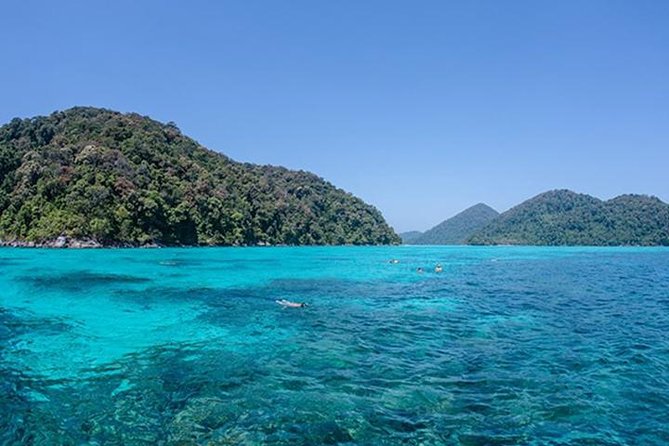 Surin Islands Speedboat Snorkeling Tour From Phuket - The Sum Up