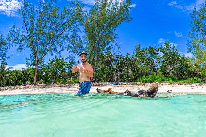 Swimming Pigs, Boat Tour, Snorkeling, Beach Break Package - Cancellation Policy