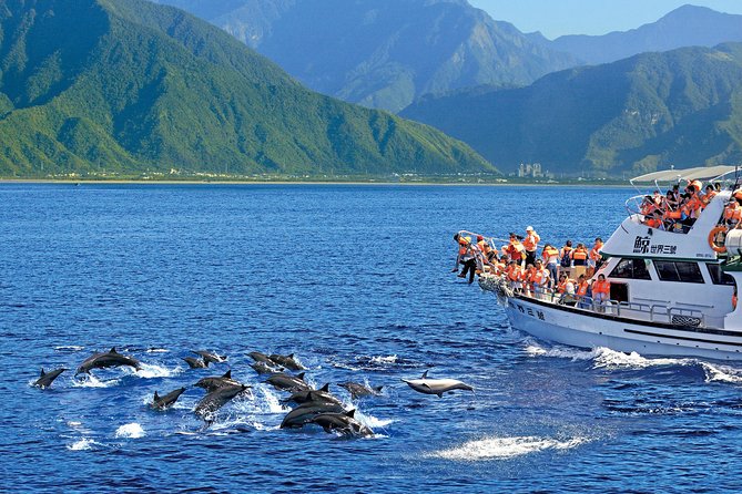 Taiwan Hualien Whale Watching Dolphin - Traveler Photos and Testimonials