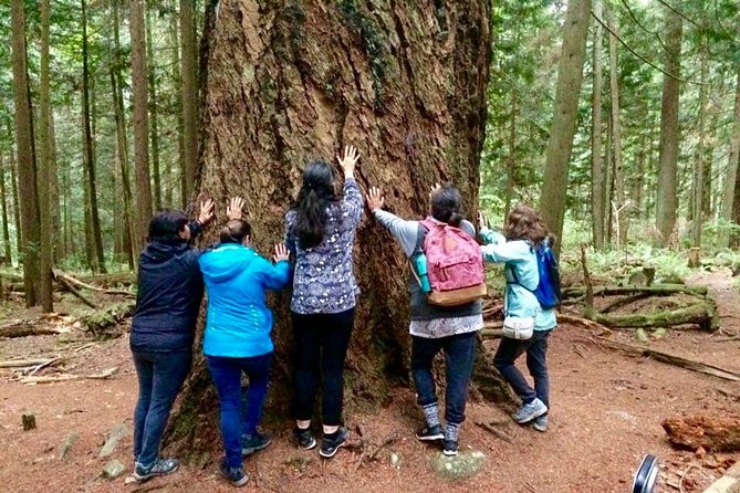 Talking Trees: Stanley Park Indigenous Walking Tour Led by a First Nations Guide - Traveler Tips