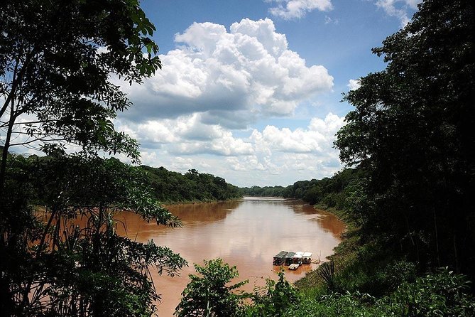 Tambopata Chuncho Macaw Clay Lick 3 Days - Knowledgeable Guide for a Memorable Experience