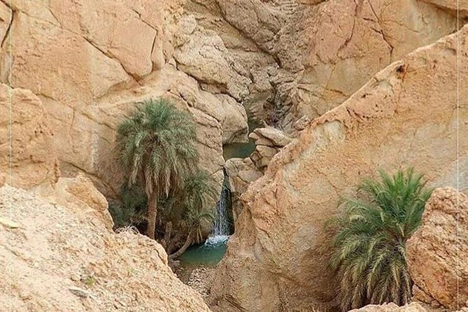Tamerza Canyon Oasis Tour - Historic Village of Mides
