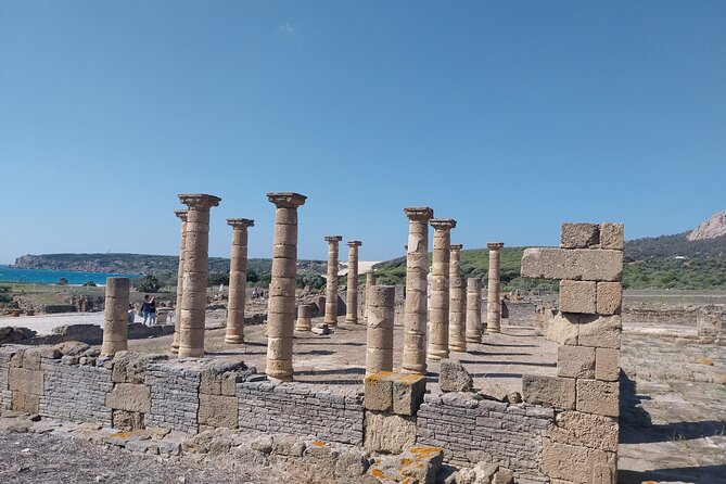 Tarifa and Bolonia, Full-Day Food and History Tour From Marbella - Price and Copyright