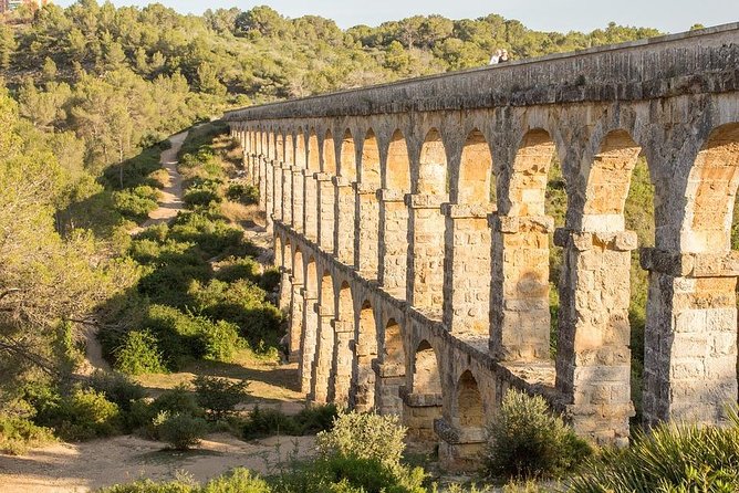 Tarragona, Ruins & Priorat Private Tour - Hotel Pick up From Salou/Tarragona - The Sum Up