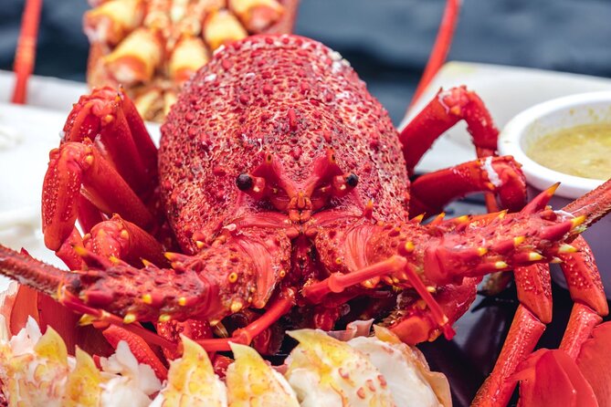 Tasmanian Seafood Gourmet Full-Day Cruise Including Lunch - Traveler Photos and Reviews