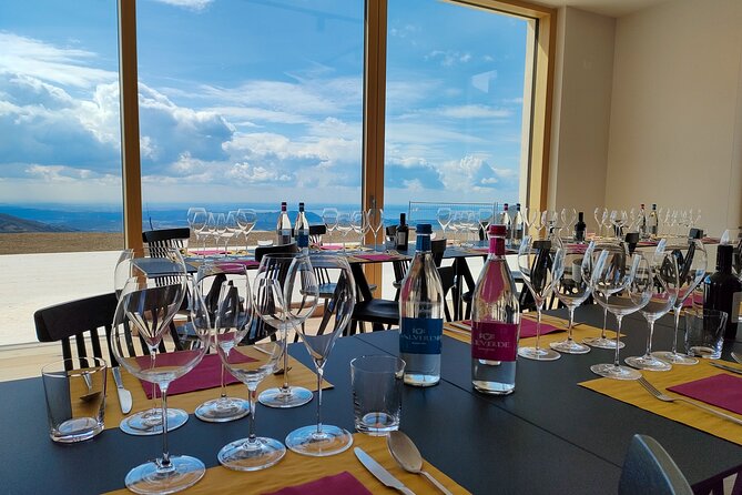 Tasting of Organic Mountain Wines With Vineyard and Cellar Tour - Tour Highlights