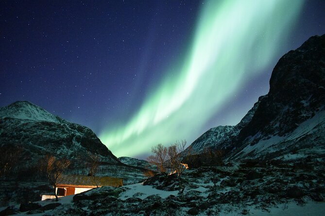 The Aurora Tour - Small Group 4 Ppl, Northern Lights - Traveler Photos and Reviews