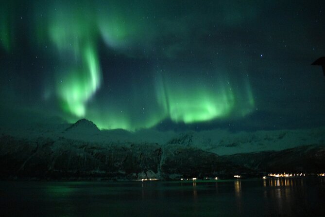 The Aurora Tour - VIP Trip for Northern Lights, Aurora Borealis - Questions and Support
