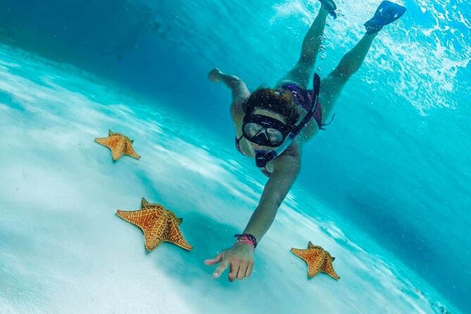 The Best Cozumel Snorkeling Tour Palancar, Colombia and El Cielo Reefs - Cancellation Policy and Terms