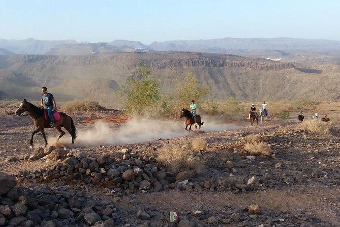 The Best Horse Riding Experience in Gran Canaria (1 Hour) - Additional Information