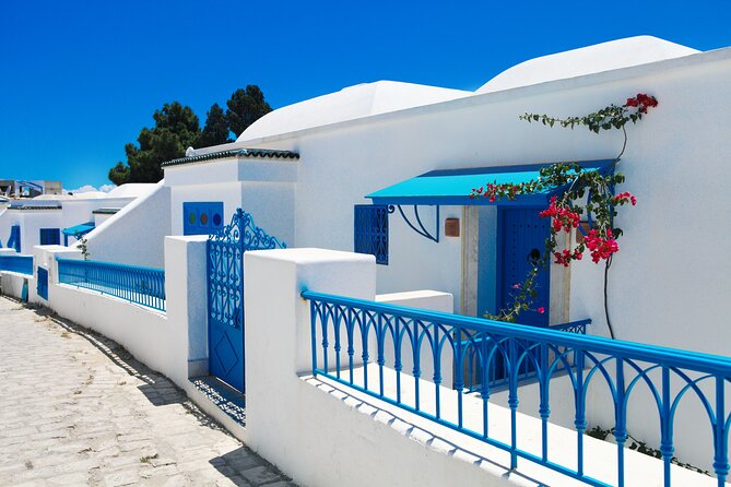 The Best of Sidi Bou Said Walking Tour - Exploring the Blue and White Streets