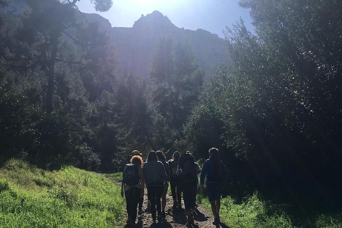 The Best of the Calanques in 3 Days - Day 2: Outdoor Adventures in the Calanques