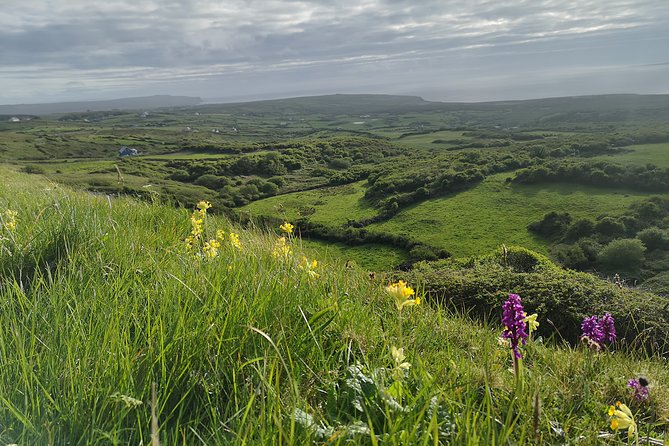 The Burren and Cliffs of Moher Full Day Private Tour From Galway - Common Questions