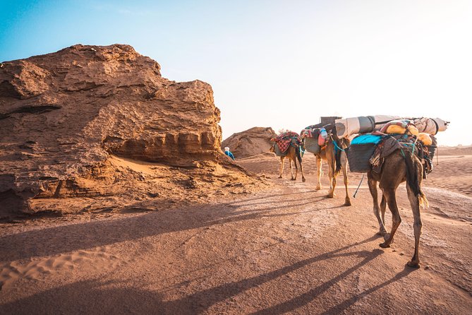 The Caravan of the Desert, 7 Days of Travel Including 6 Days on Foot - Day 3: Embarking on the Foot Journey