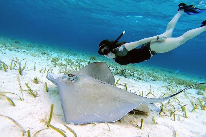 The Cozumel Sky Snorkeling by Private Boat - What To Expect
