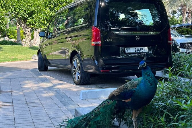 The Dubai Mall Tour With Private Transfers - Meeting and Pickup
