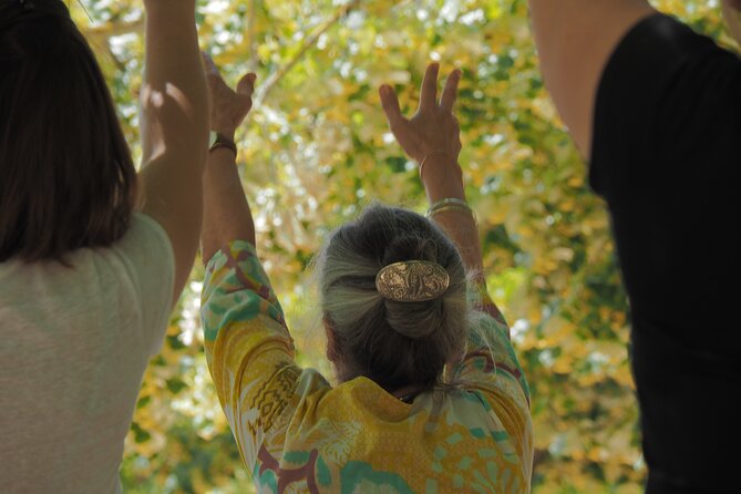 The Essence of Qi, Outdoor Qi Gong Class - Meeting and Pickup Information