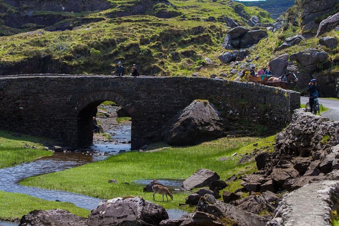 The Gap of Dunloe Full-Day Tour From Killarney - Cancellation Policy