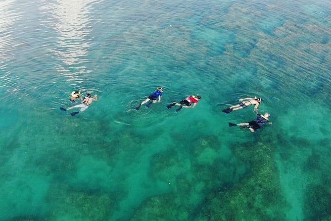 The Key West Dolphin & Snorkel Experience - Negative Customer Reviews