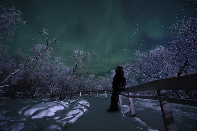 The Longest Northern Lights Tour in Abisko With Dinner - Overall Satisfaction and Recommendations