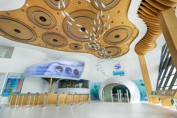 The National Aquarium Abu Dhabi Admission Tickets - Reviews