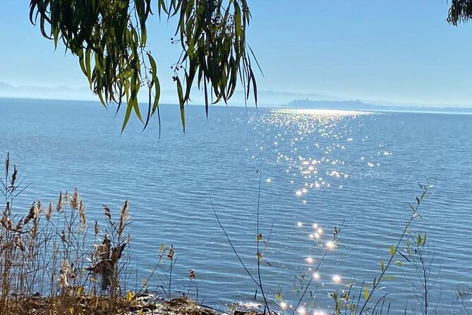 The Spell of Lake Trasimeno - Trekking Tour - Meeting and Pickup