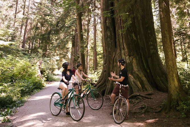 The Stanley Park Tour by Cycle City Tours - E-Bike Upgrade