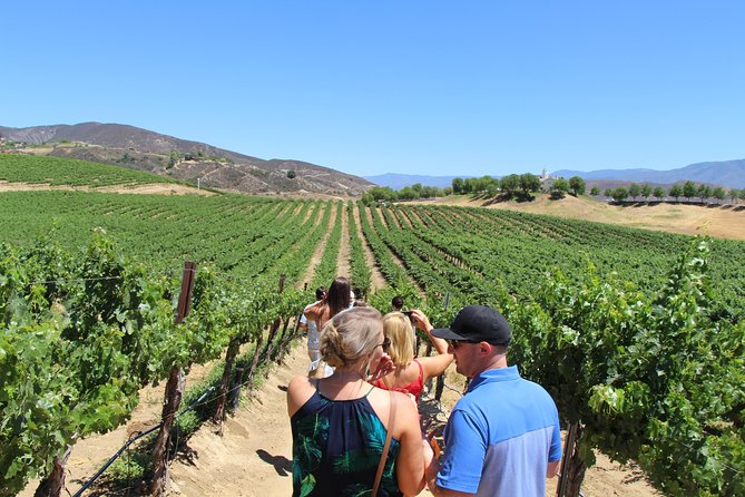 The Temecula Wine Tour From Orange County - Overview of the Tour