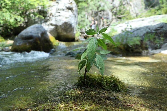 Thessaloniki Mount Olympus Group Hiking Tour - Cancellation Policy