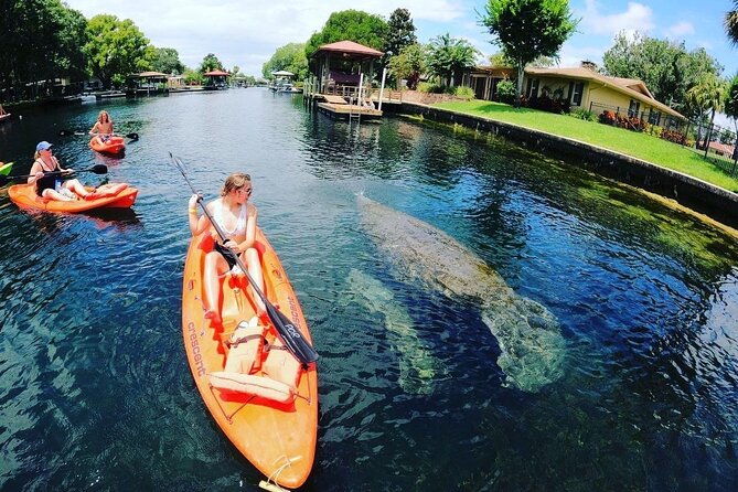 Three Sisters Springs Kayak And Swim Eco-Tour Crystal River - Meeting and Pickup